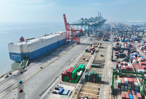 人民日報金社平 中國新能源產業發展是全球性貢獻和機遇