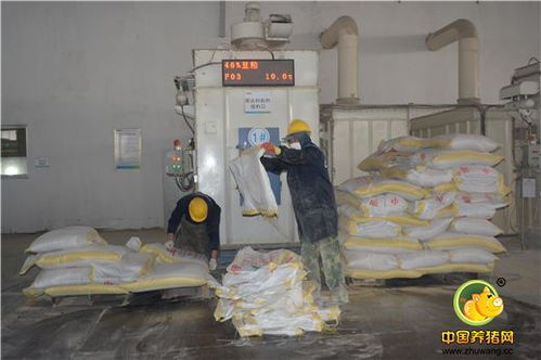 標桿工廠，再創輝煌 浙江播恩預混料與教槽料產銷量破10000噸慶典隆重舉行